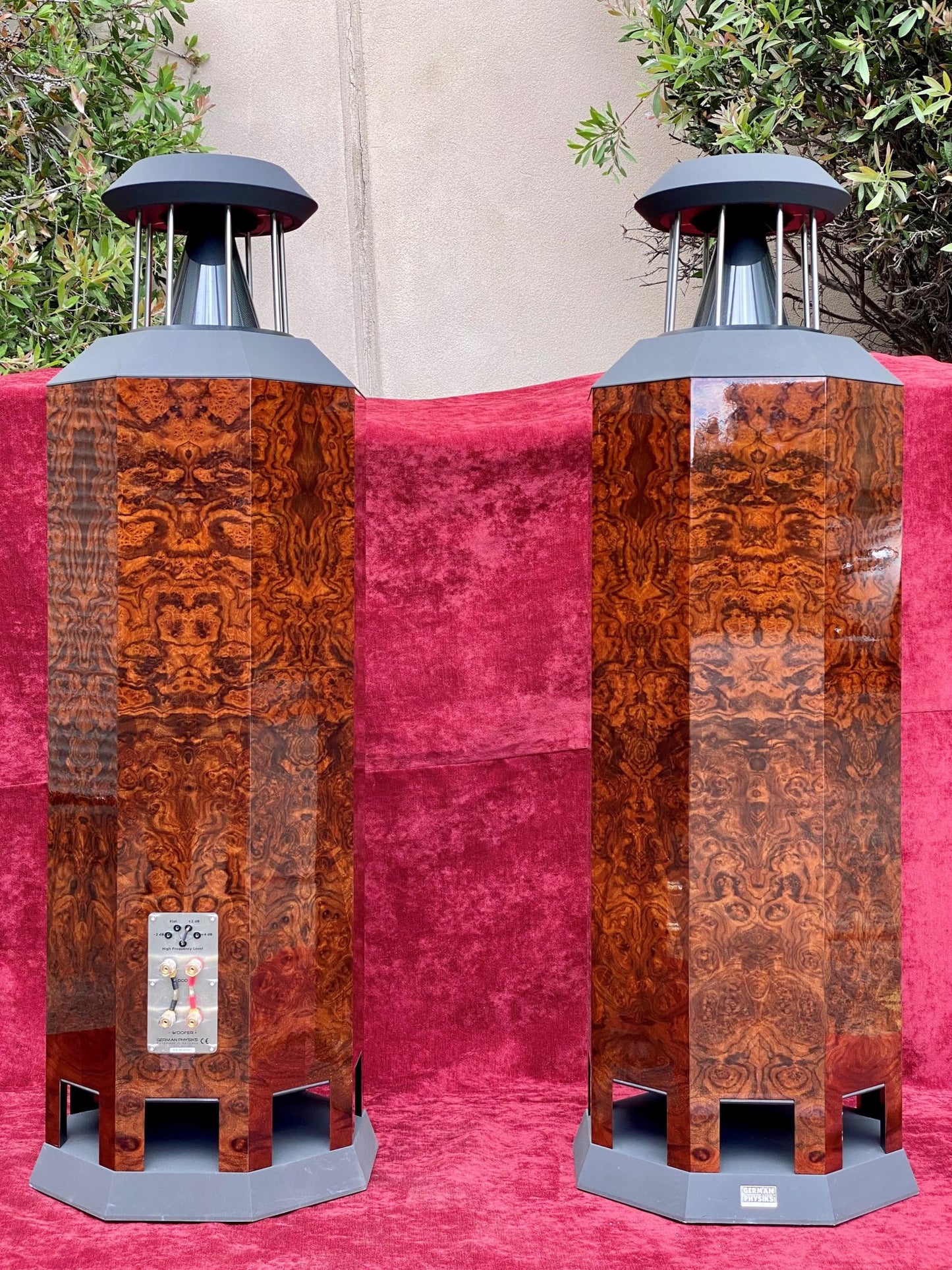 German Physiks Borderland MKIV, Walnut Burl Gloss, DEMO