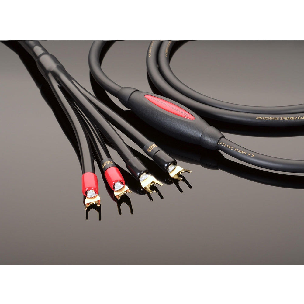 Transparent MWBW 10FT S S Gen 5 Speaker cable