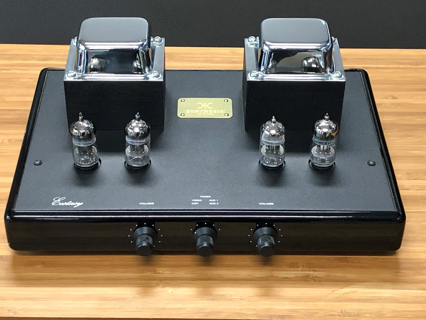 Synthesis The Theatre and Ecstasy Mono Block Power Amplifiers and Preamplifier